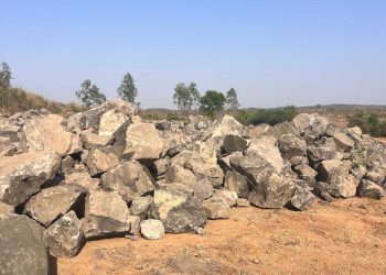 WhatsApp Image 2025-06-19 at 23.03.12_5c443bab